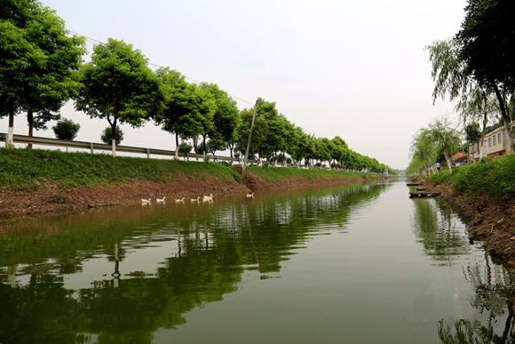 沅江跃进村:人黑了,村美了,村民乐了_阳罗洲镇