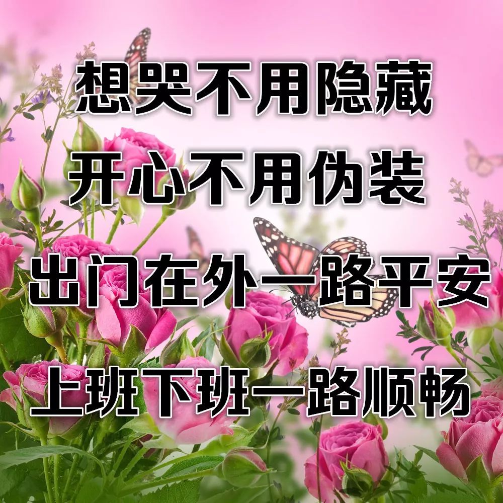 一首《你是我情不自禁的牵挂》太美了,醉人醉心,送给我想念的人!
