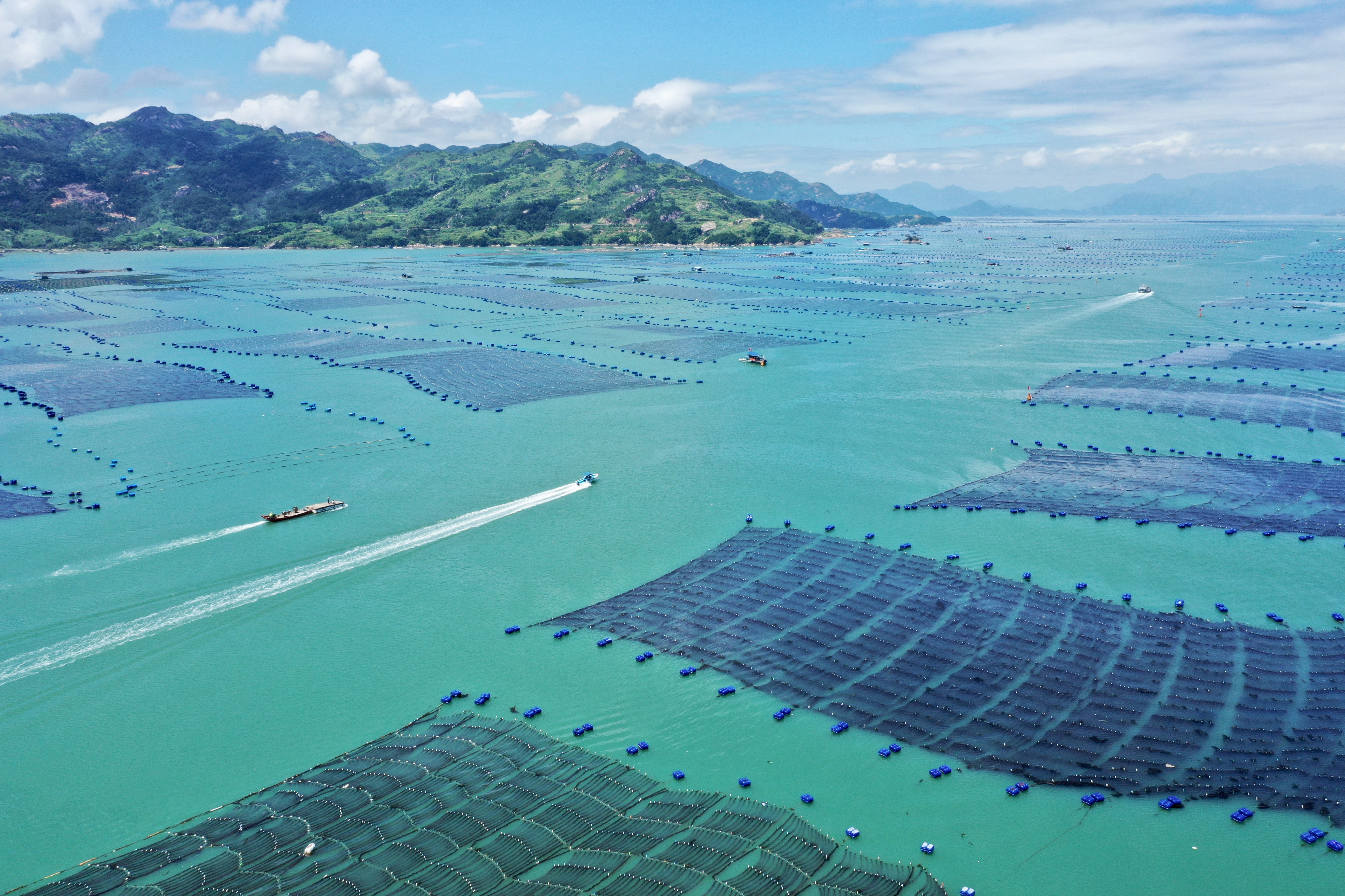 福建霞浦:清海扩航在行动