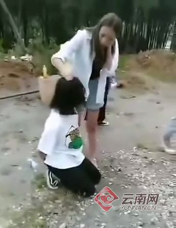 云南又现校园暴力大理一女孩跪地遭群殴