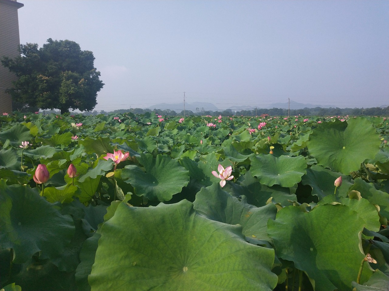 重走紅七軍北上過全州線路,我們選這些點,你說可否?