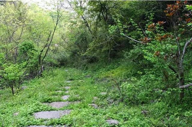 暑假冷门旅游:洞山古寺,藏云溪古道,长溪岭古道,桃花岭古道