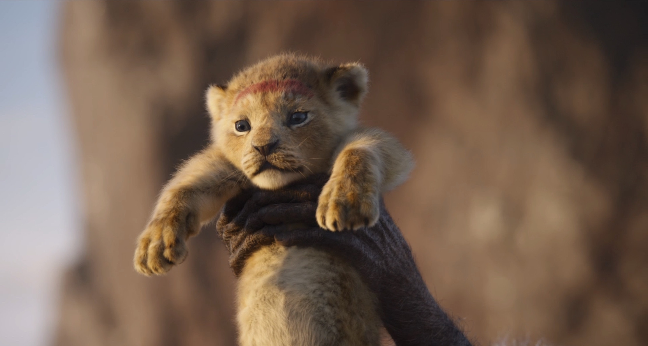 狮子王上映褒贬不一经典动画改真人是一鱼多吃还是创作的偷懒