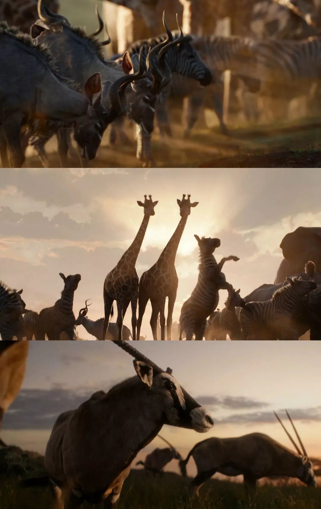 《狮子王》"假戏真做",电影介质正走向新变革_费儒