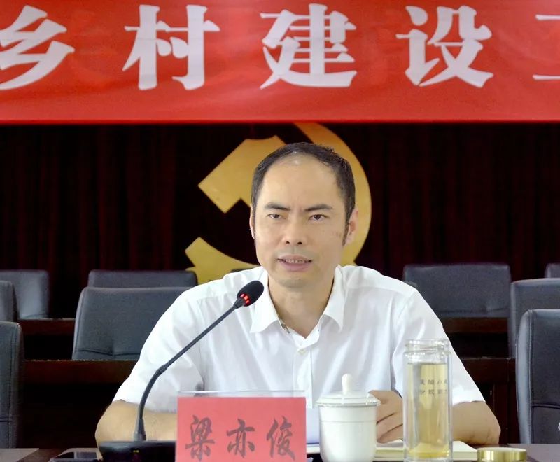 破局求新群策群力金乡加快推进美丽乡村建设工作