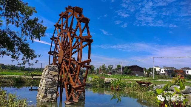 韭花飘香美丽广福一一郫都区广福村摄影作品展即将67开展