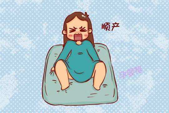 女人顺产有多疼3d动画模拟全过程男人表示都看傻了