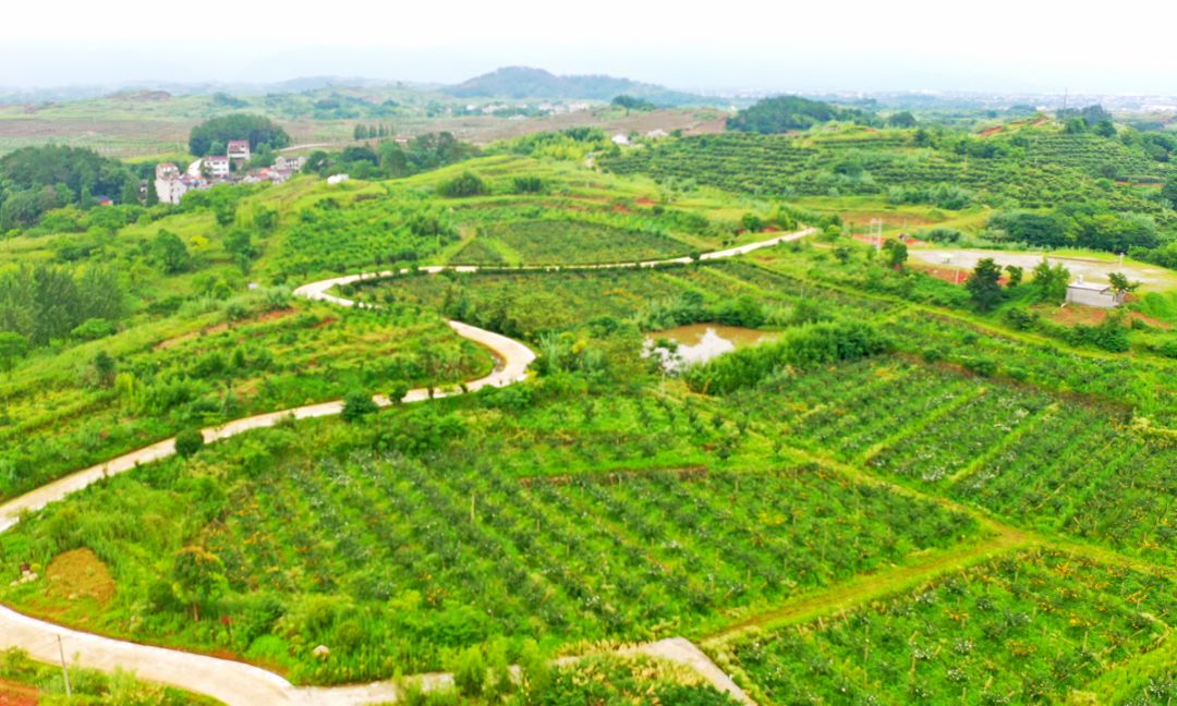 这个天台人有勇气拼掉一身老骨头也要换它一座花果山