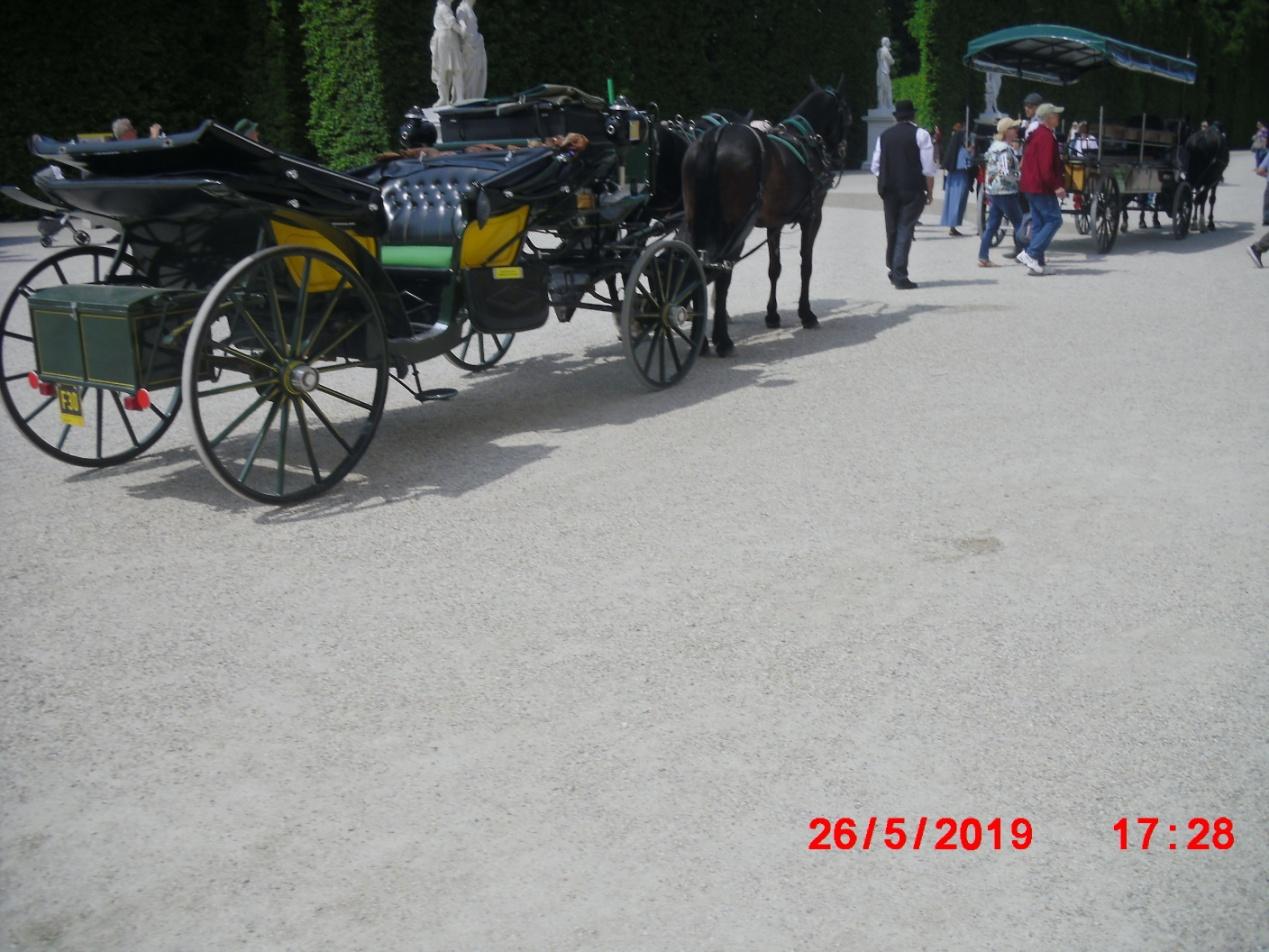 「原创」海丰阿东:旅欧见闻,广场上那拉车的马留下的屎尿_马车