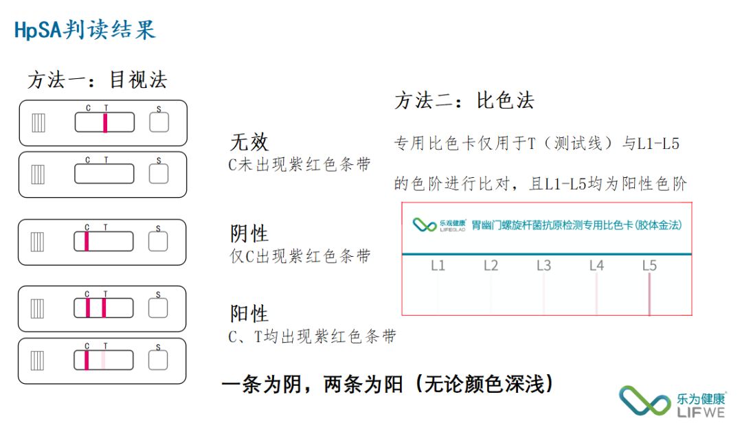 如果检测卡出现2条红色线条,则说明幽门螺旋杆菌的检测结果为阳性