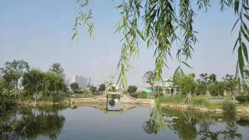 邱隘·金价桥|异地重生 乡愁再续_公园