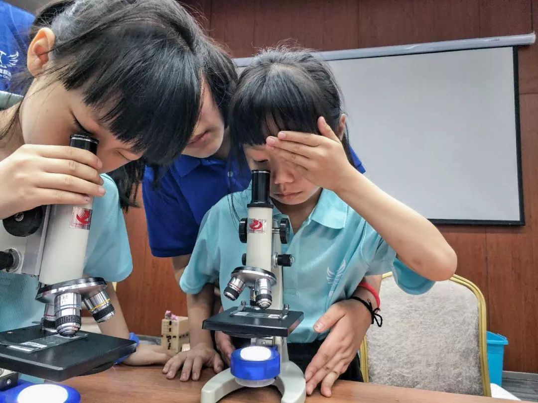 生长结构去野外提取样本用显微镜观察自然植物像生物专家一样"孩子能