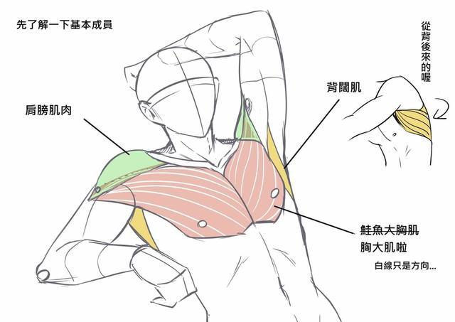 抬手动作画法图片