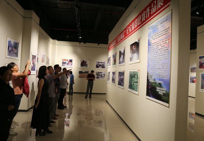 那坡县博物馆图片