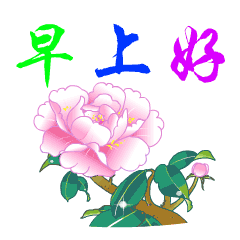 唯美的早上好图片最好看的早上好表情动态