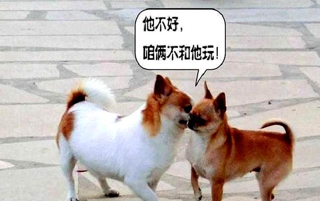 原创如何应对办公室挑拨是非的人教你5招让他见了你绕道走