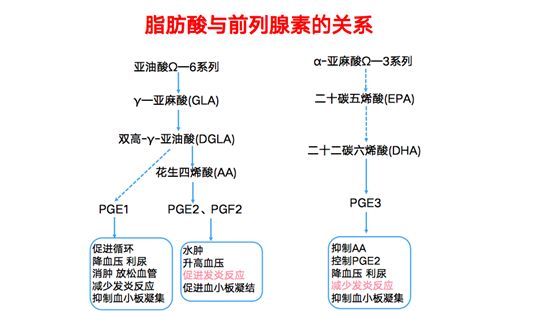 图注:脂肪酸与前列腺素关系此外,各种脂肪酸在细胞膜上扮演的角色也不