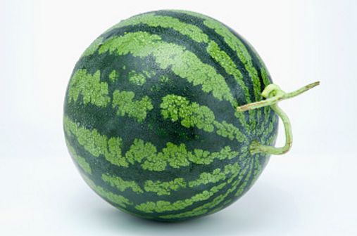 花纹杂乱的说明瓜还未成熟.