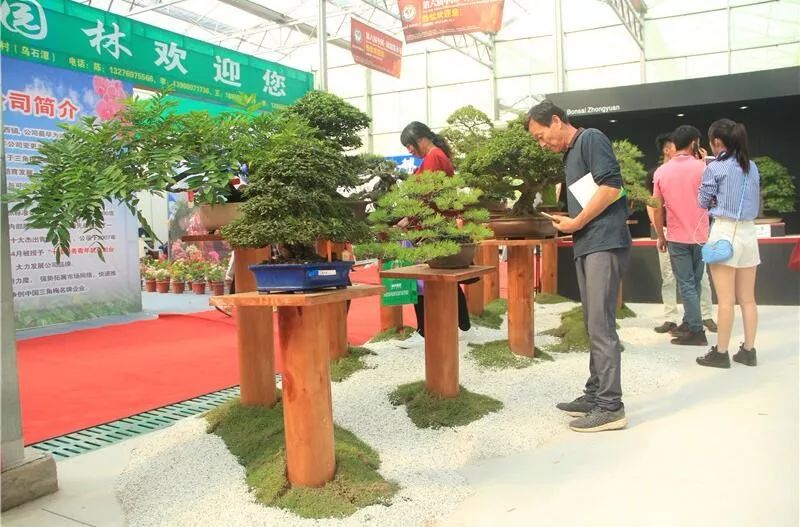 花木盛会2019第七届中国沭阳花木节将于9月29日开幕精彩内容不容错过