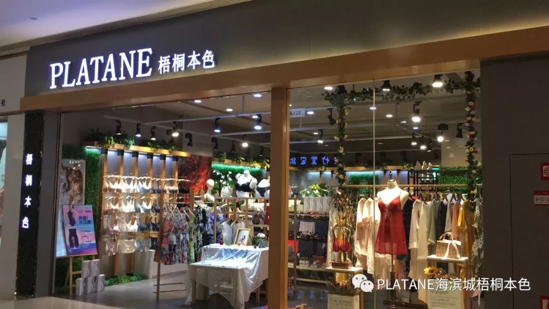 platane海滨城梧桐本色