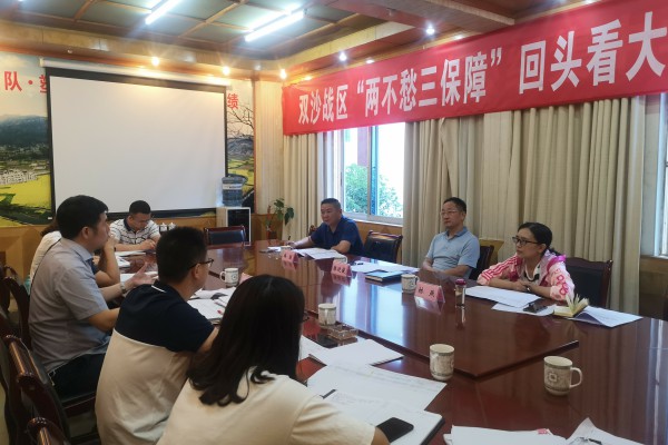 县委副书记县长陈廷俊率队到双沙镇督导两不愁三保障回头看大排查工作
