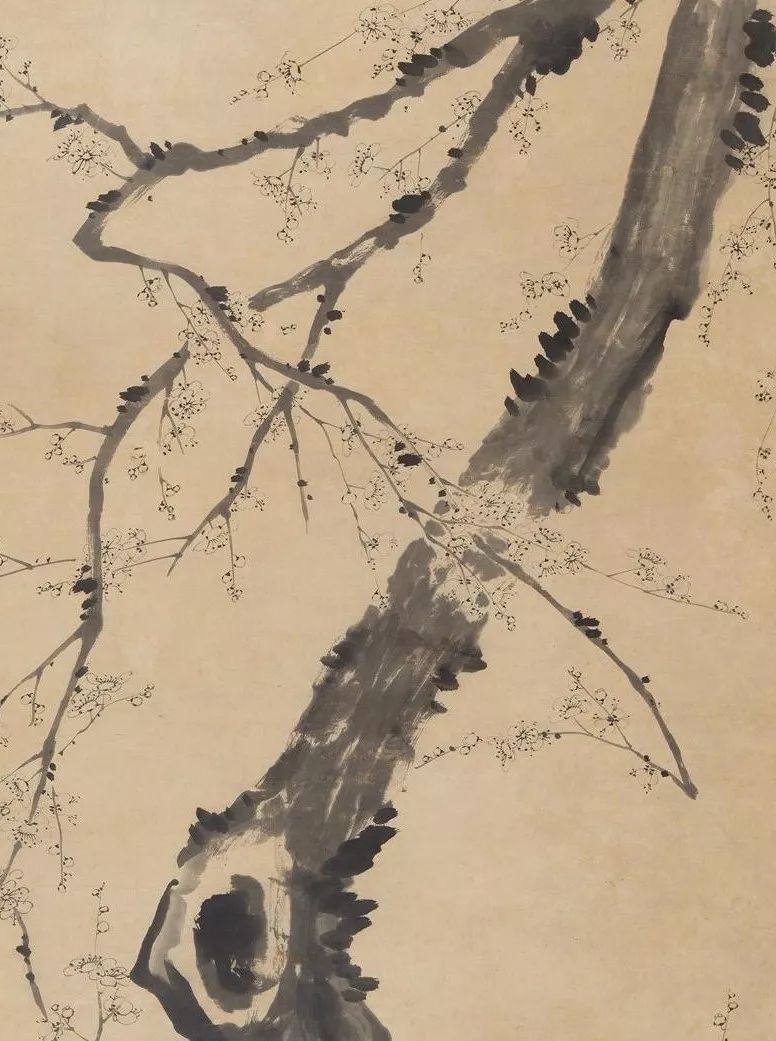 "老梅愈老愈精神",小赏金农《墨梅图》_梅花