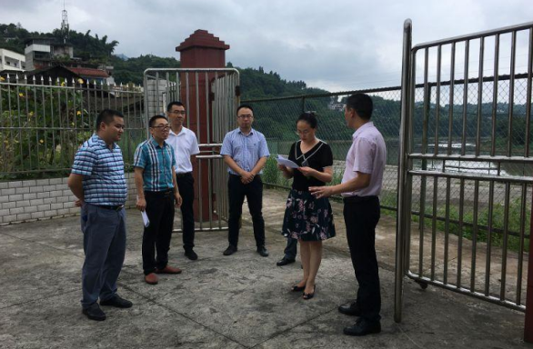 合江县副县长李小蓉率队调研乡镇污水处理厂