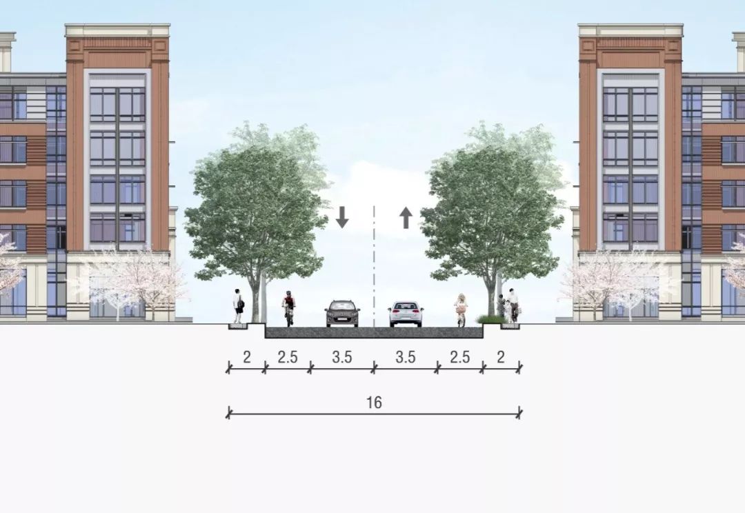 道路标准横断面