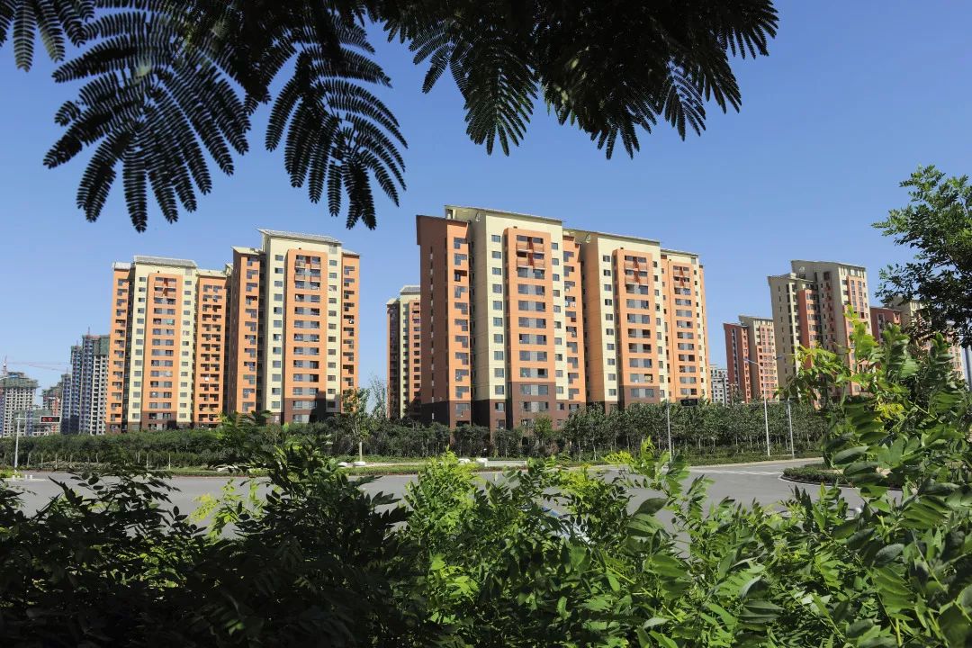 购买条件再放宽中新天津生态城公屋新政来啦怎么买看这里