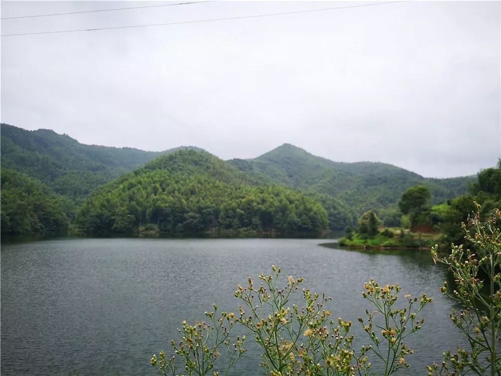 最新航拍万载双桥一原生态小山村的山水美景画面太美不敢看