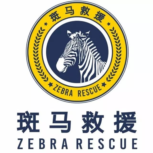 滑县斑马救援队在看到这条消息后,第一时间