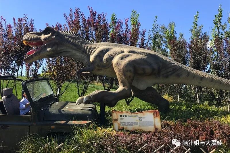 从恐龙谷出来就是奇妙旅程的售票处,里面是乘小电动车自驾喂动物,100