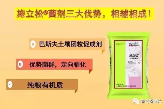 施立松菌剂,不一样的菌剂!打破板结,活菌养地,促根壮苗,样样行