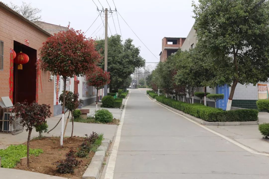 魅力麻屯聚力乡村振兴实干创造幸福麻屯镇迎接县第二季度乡村振兴观摩