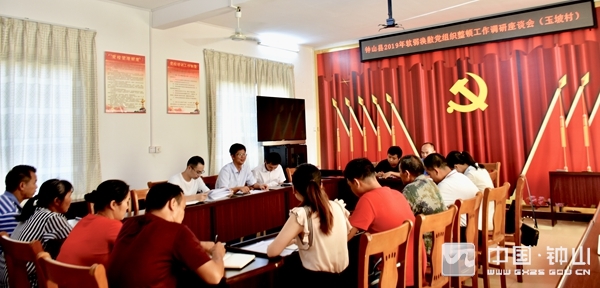 钟远翔深入各行政村调研指导软弱涣散村党组织整顿工作