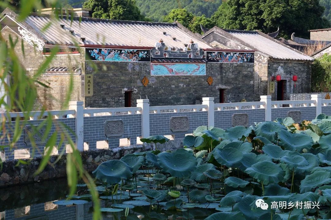 周六来中港城谈乡村振兴,有礼送!_高明区