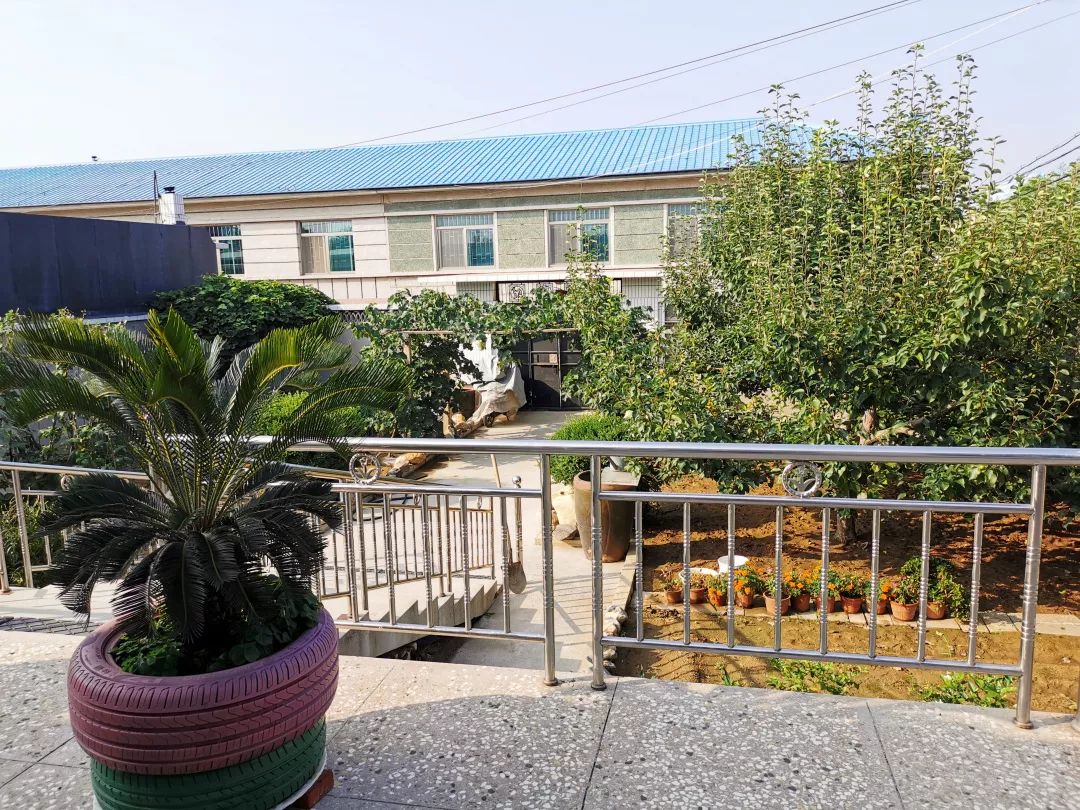 我是盖州太阳升街道办事处尚和寨村农家女李亚凡.