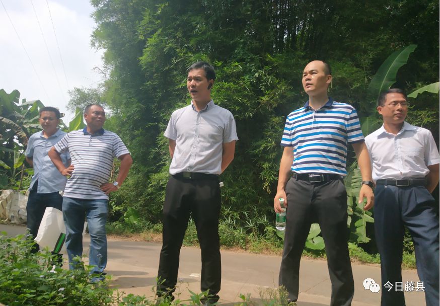 书记在现场藤州镇党委副书记镇长凌用全现场解决村级污水处理厂选址