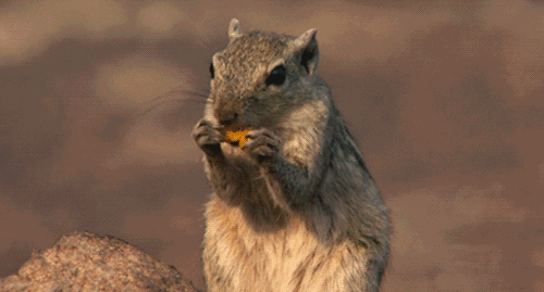 萌化了曲靖第一家和动物0距离的萌宠科普园7月20日