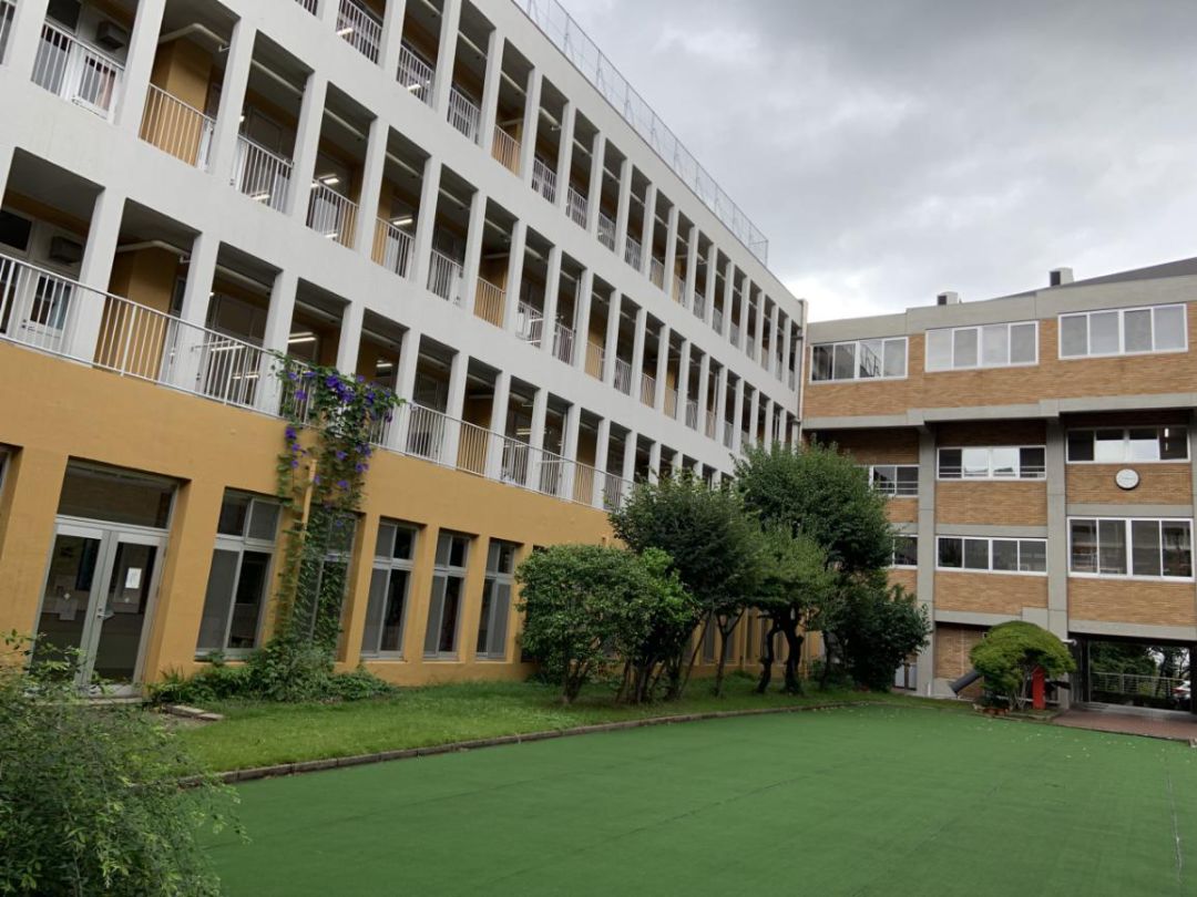 青湖栽秀木友谊植扶桑我校暑期日本研学团访问明治学园一