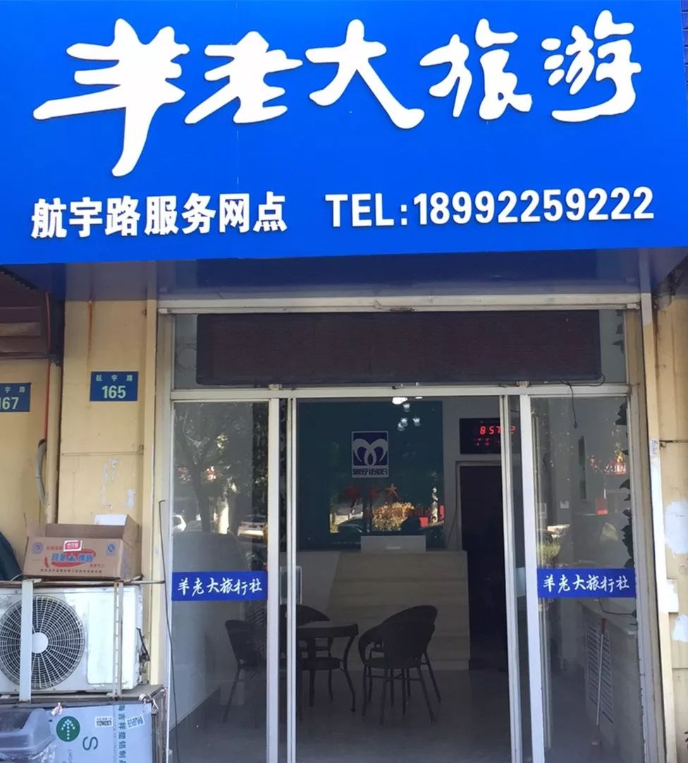 想放松去旅游就找咱羊老大