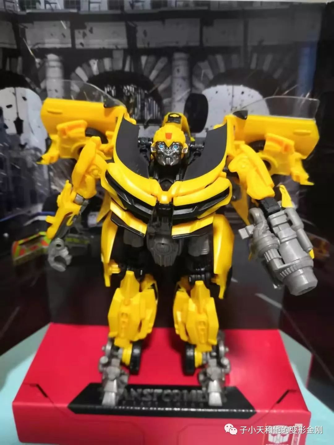 【评玩具】子小天:movie杨测评《变形金刚 ss24&25,大黄蜂与大