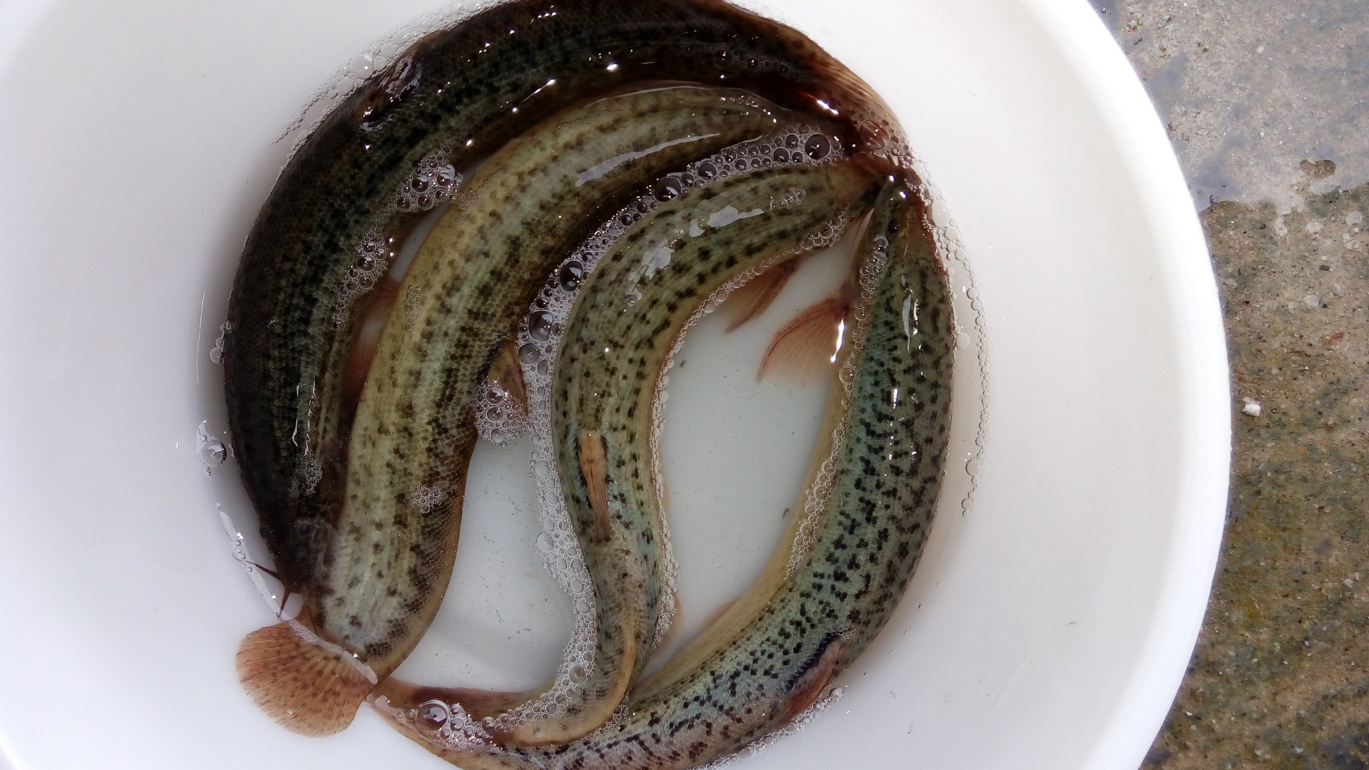 原创出现4种症状痔疮找麻烦了3种食物有助让痔疮老实点