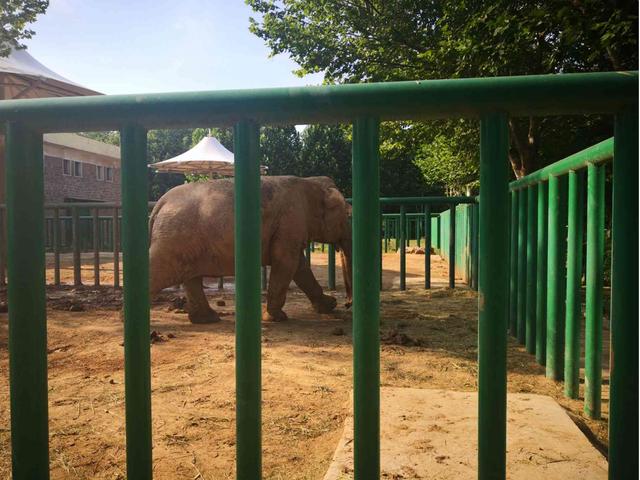 原创面积只有三百多亩的郑州市动物园终于要搬到登封了你还会去吗