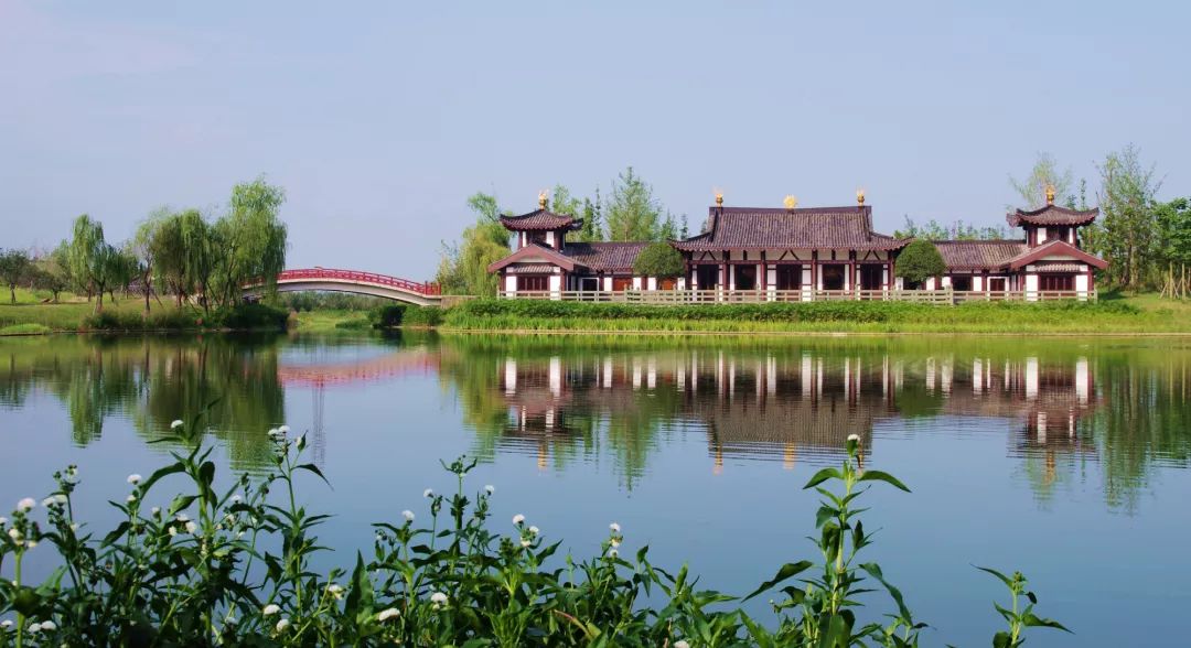 千与千寻里美到逆天的场景原来青白江也有