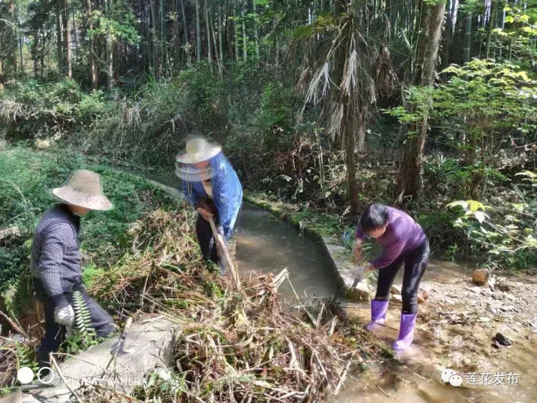 众志成城莲花县干群掀起灾后重建热潮