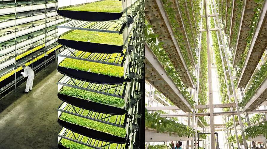 (稻生谷垂直农业研发中心意向效果图)稻生谷田园综合体依托高桥镇范林