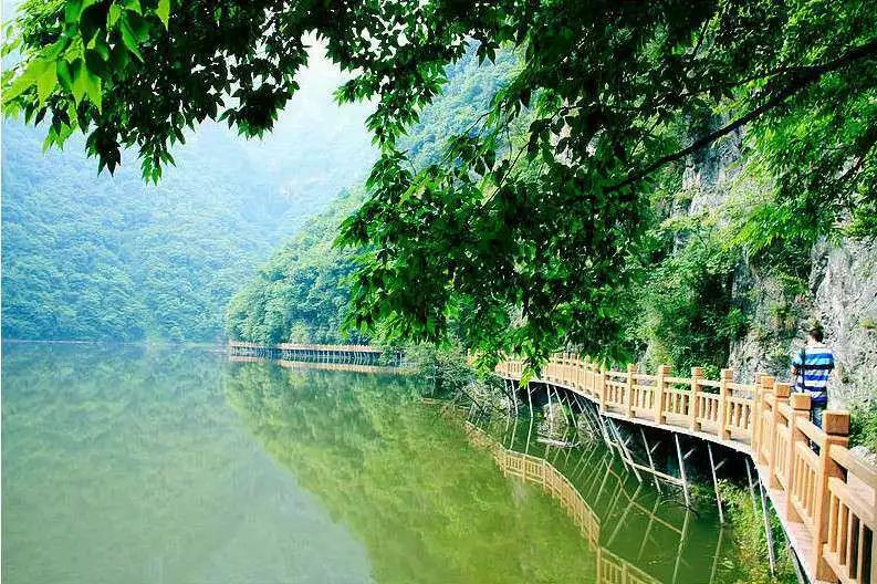 幽谷,溪流,飞瀑,神峰,奇洞"马路边的原始森林""天然氧吧","人间仙境""