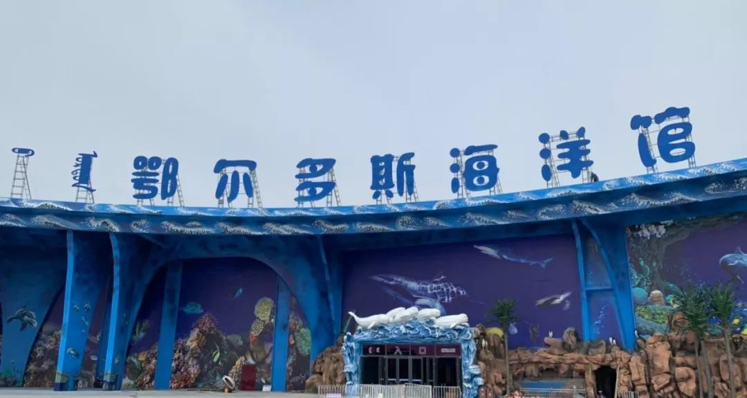 鄂尔多斯海洋馆重装开馆网红滑道等5000份大礼包免费送