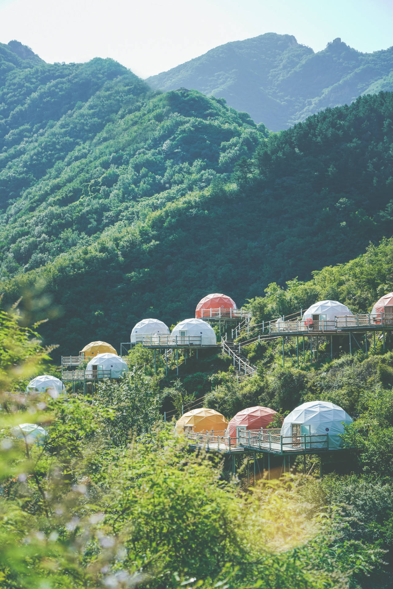 这片被封禁300年的原始森林深处,藏着北京首家高山泡泡屋